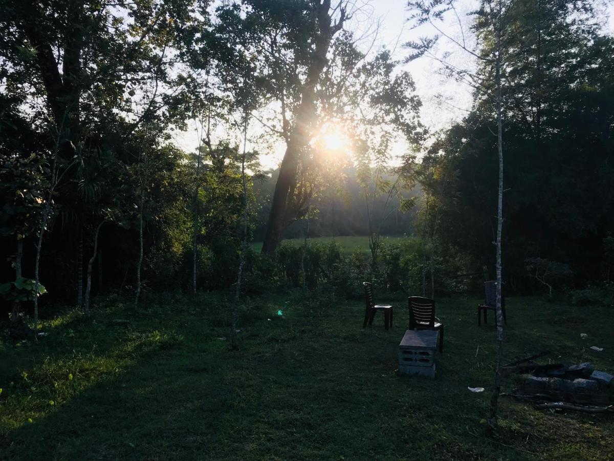Greenhouse Homestay Siddāpur Dış mekan fotoğraf
